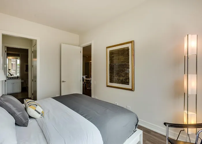 Designer 3br With Balcony & Elevator On Clark! Apts Apartment